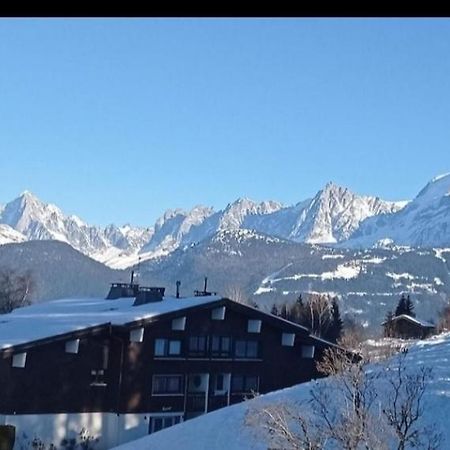 Studio Porte Du Mont Blanc Combloux Aux Pieds Des Pistes エクステリア 写真