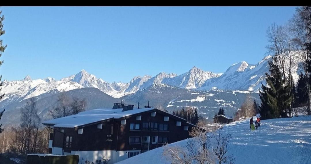 Studio Porte Du Mont Blanc Combloux Aux Pieds Des Pistes エクステリア 写真