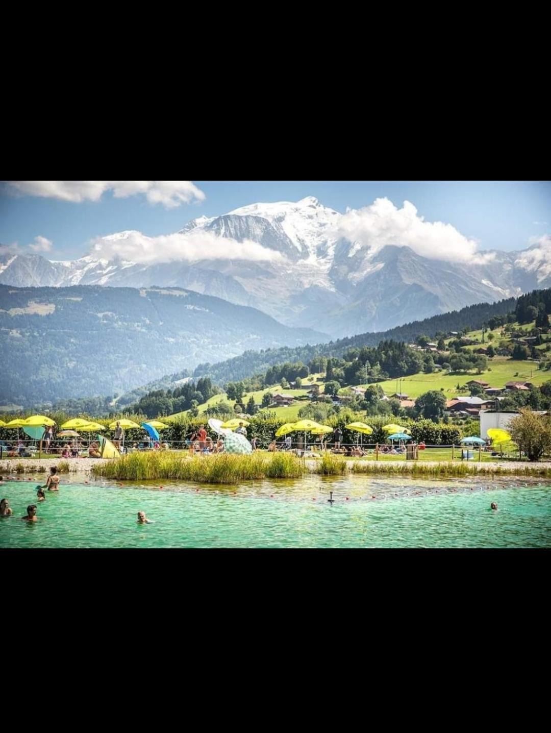 Studio Porte Du Mont Blanc Combloux Aux Pieds Des Pistes エクステリア 写真